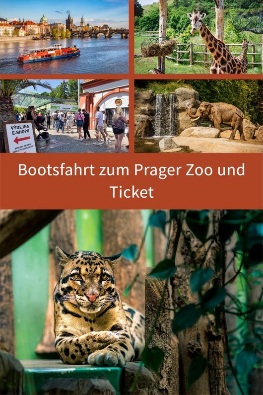Bootsfahrt und Prager Zoo Bild Bootsfahrt und Prager Zoo