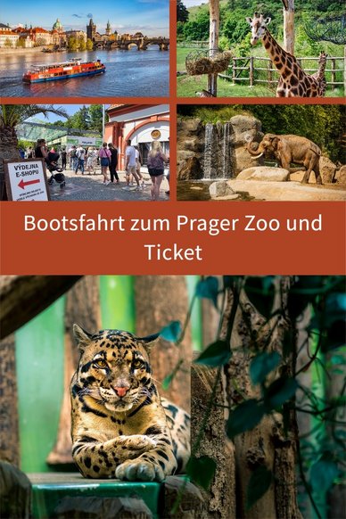 Bild Bootsfahrt und Prager Zoo