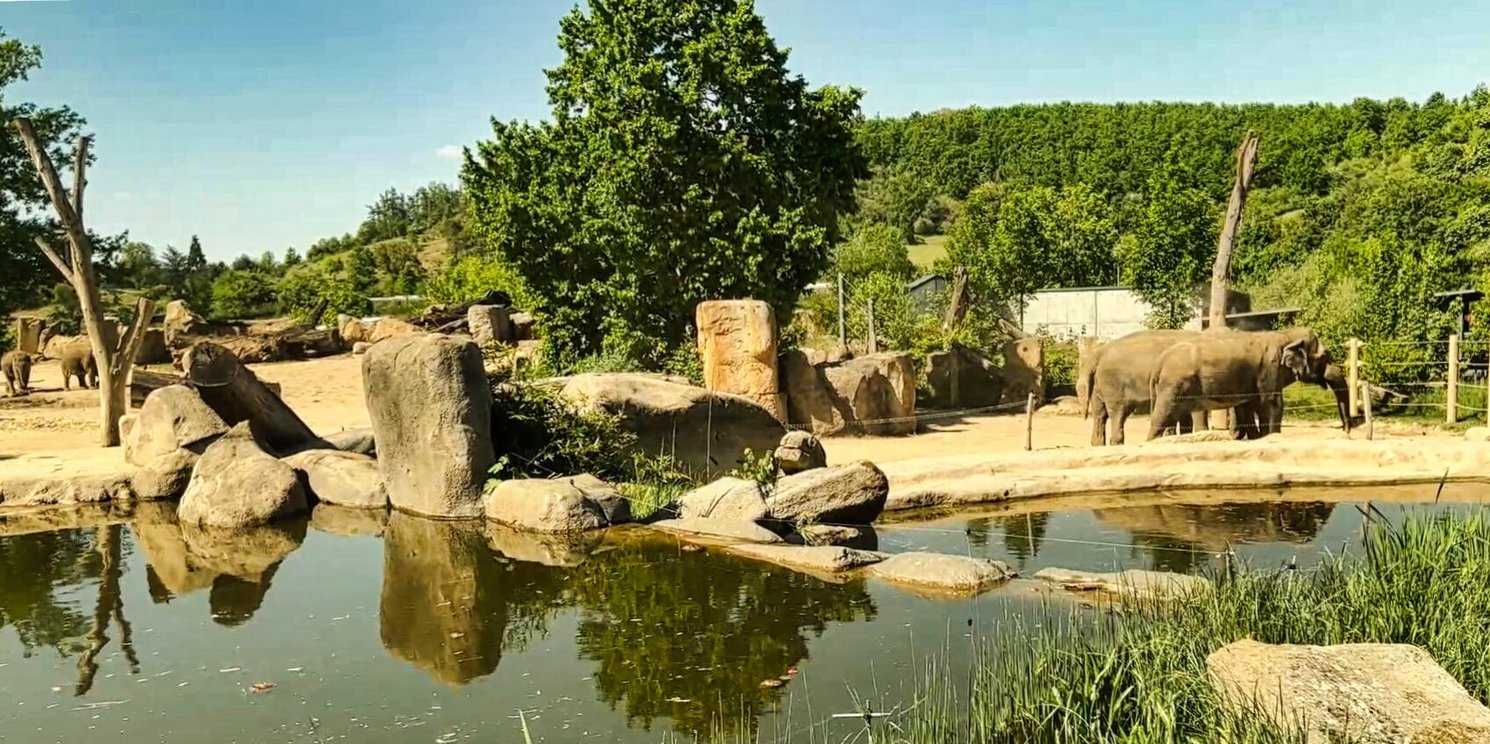 Bild vom Prager Zoo