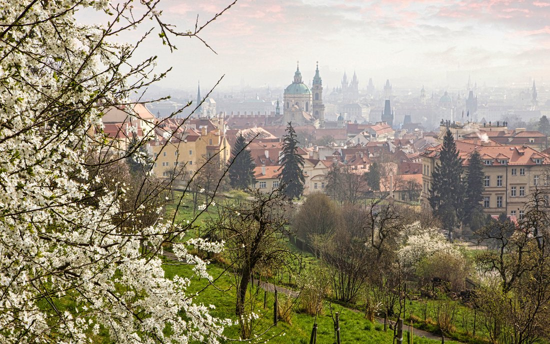 Bild Rundblick Prag im Frühling