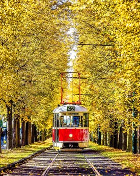 Trambahnlinie 42 in Prag