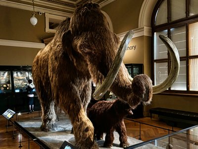 Innenraum Nationalmuseum Prag