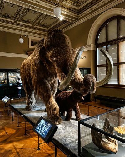 Innenraum Nationalmuseum Prag
