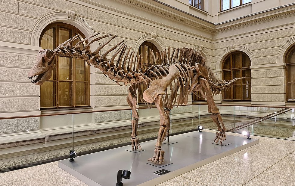 Bild Armagasaurus im Nationalmuseum Prag
