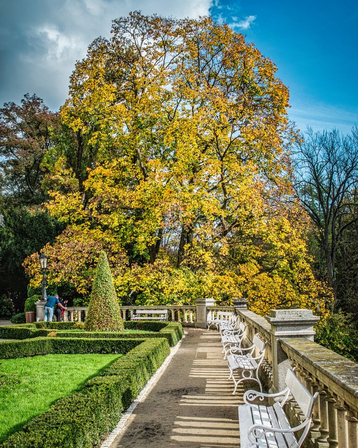 Schloss Konopiště - Gartenansicht