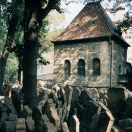 Bild Alter Jüdischer Friedhof in Prag