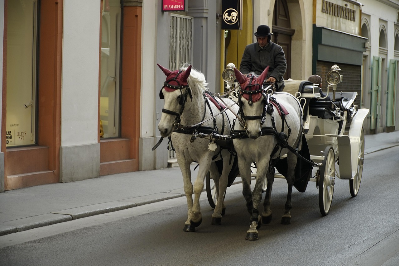 Fiaker in Prag